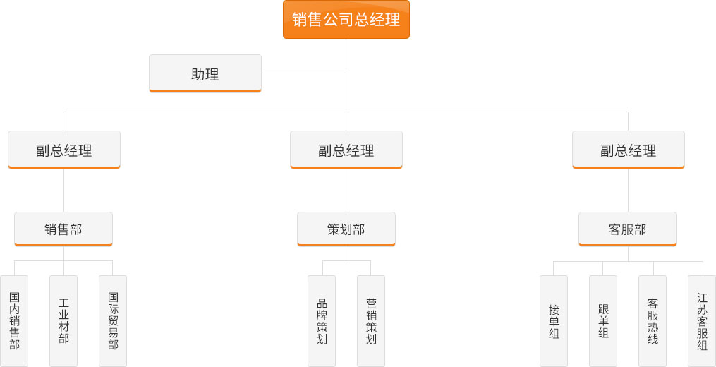 銷售公司組織架構(gòu)